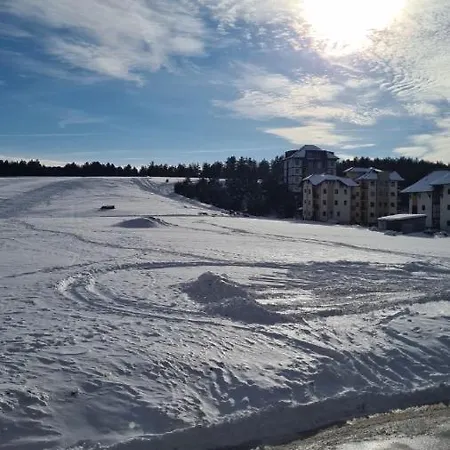 Pino Dorato زلاتيبور