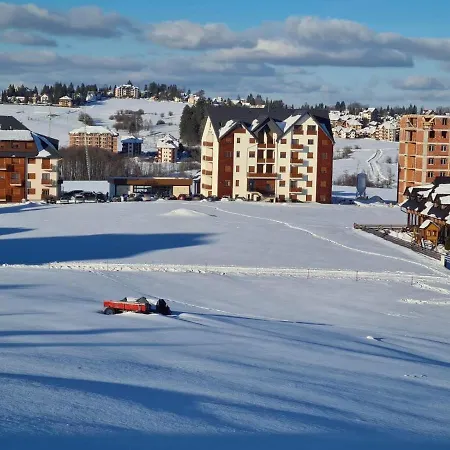 Pino Dorato * زلاتيبور