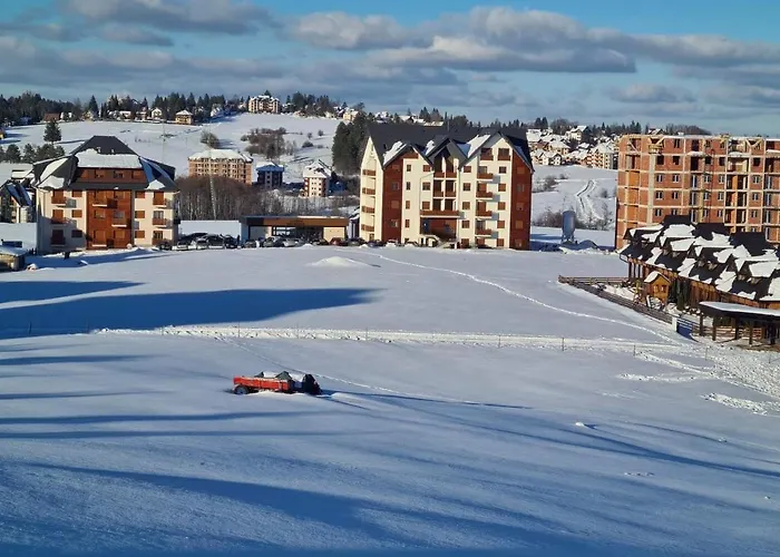 Pino Dorato * Zlatibor